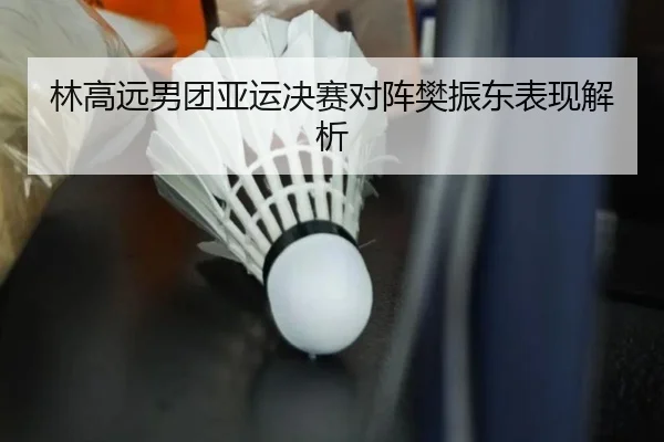 林高远男团亚运决赛对阵樊振东表现解析